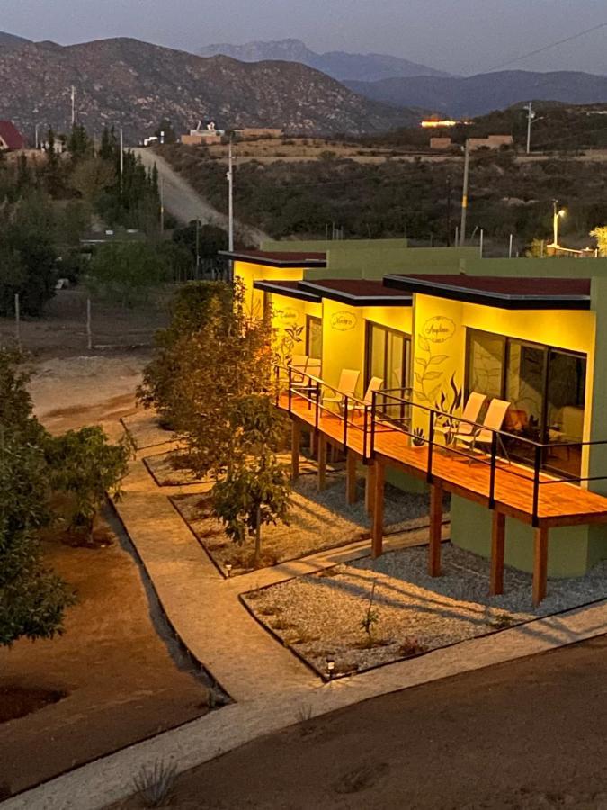 Palta 60 Valle De Guadalupe Casa de hóspedes Exterior foto