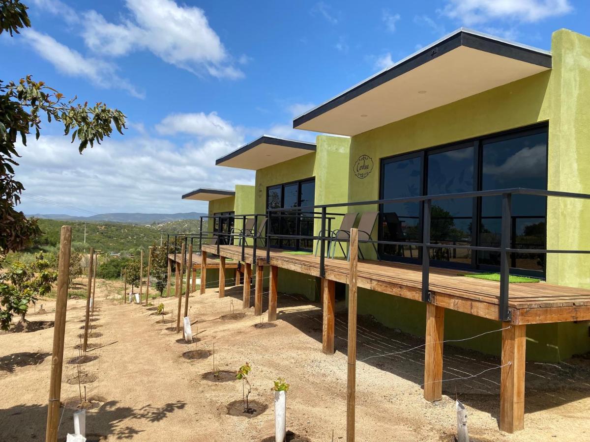 Palta 60 Valle De Guadalupe Casa de hóspedes Exterior foto