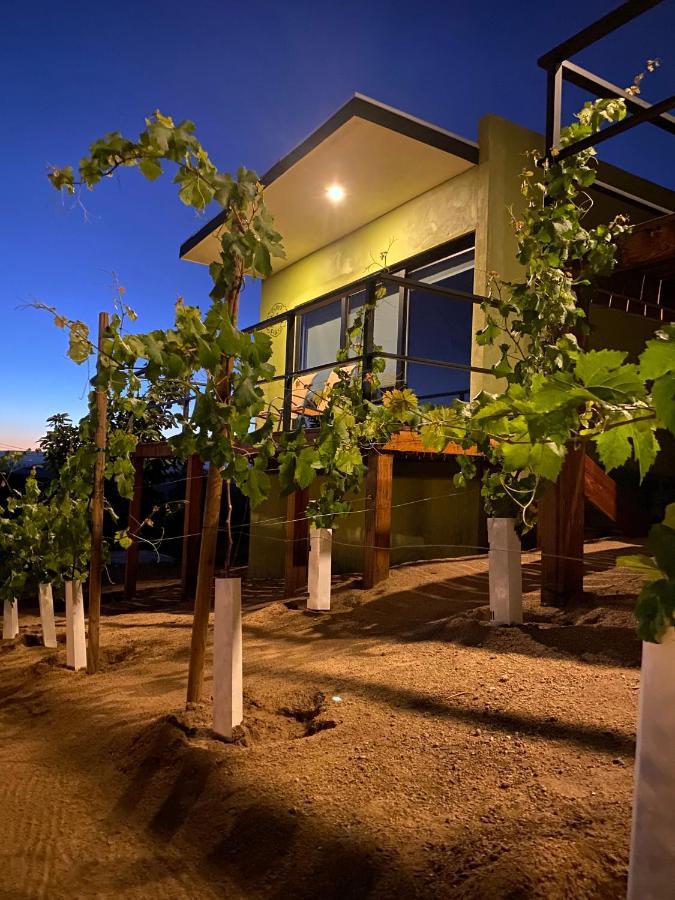 Palta 60 Valle De Guadalupe Casa de hóspedes Exterior foto