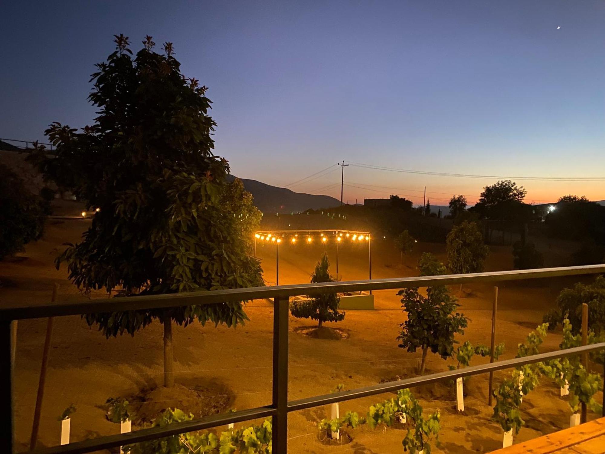 Palta 60 Valle De Guadalupe Casa de hóspedes Exterior foto