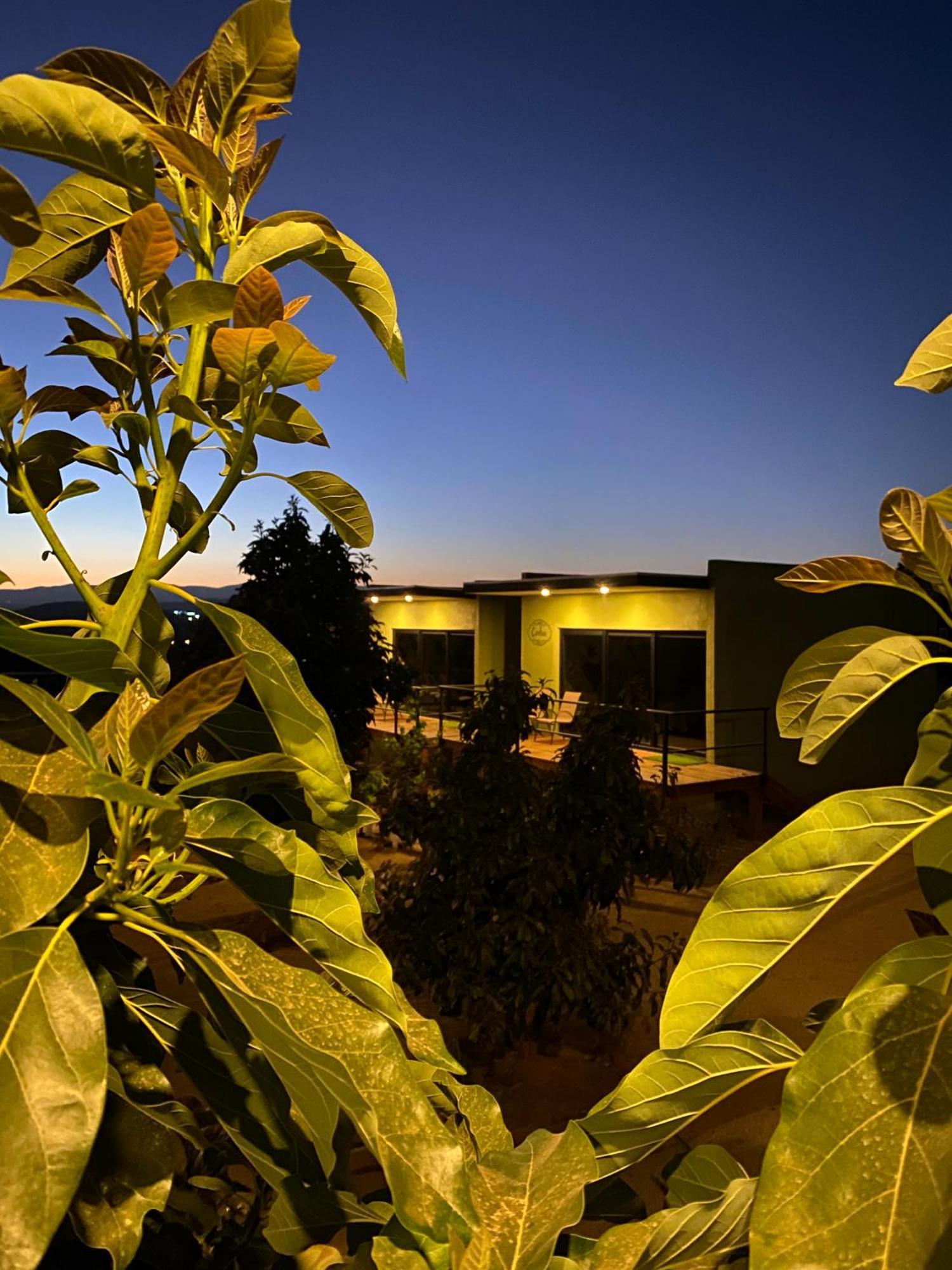 Palta 60 Valle De Guadalupe Casa de hóspedes Exterior foto